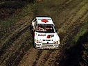 1985_002_Ari_Vatanen_-_Terry_Harryman2C_Peugeot_205_Turbo_162C_2nd_28229.jpg