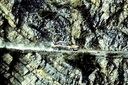 Nombre del archivo=1985_002_Rally_Monte_Carlo_1985_-_W_Rohrl_-_C_Geistdorfer.jpg
Tamaño del archivo=401KiB
Dimensiones=900x600
Fecha añadida=09 Septiembre 2014 1985_002_Rally_Monte_Carlo_1985_-_W_Rohrl_-_C_Geistdorfer.jpg
