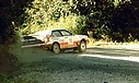 1985_005_Malcolm_Stewart_-_Doug_Parkhill2C_Audi_Quattro_A22C_5th3.jpg