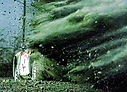 Nombre del archivo=1985_006_004_Miki_Biasion_1985_006_Massimo_Biasion_-_Tiziano_Siviero2C_Lancia_Rally_0372C_6th2_28329.jpg
Tamaño del archivo=571KiB
Dimensiones=1100x794
Fecha añadida=30 Junio 2015 1985_006_004_Miki_Biasion_1985_006_Massimo_Biasion_-_Tiziano_Siviero2C_Lancia_Rally_0372C_6th2_28329.jpg
