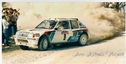 1985_007_009_Giovanni_Del_Zoppo_1985_007_G__Del_Zoppo_Peugeot_205_T_16.jpg
