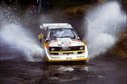 1985_999_001_Michele_Mouton_1985_999_Michele_Mouton_1985Manx.jpg