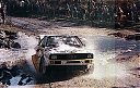 1985_999_005_Stig_Blomqvist_1985_999_blomqvis_8221376515136800250_n.jpg