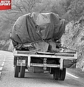 Nombre del archivo=1986_999_004_Henri_Toivonen_1986_999_aHenri_Toivonen_one_of_the_last_photos_of_henri_999_281329.jpg
Tamaño del archivo=222KiB
Dimensiones=875x900
Fecha añadida=24 Abril 2018 1986_999_004_Henri_Toivonen_1986_999_aHenri_Toivonen_one_of_the_last_photos_of_henri_999_281329.jpg