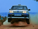 1990_999_015_Erwin_Weber_1990_999_Erwin_Weber_Rally_Acropolis_1990_-_E_Weber_-_M_Feltz.jpg