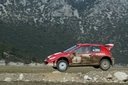 2003_009_peugeot_206wrc2003_turkey_mg_04.jpg