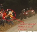 2012_002_037_Dani_Sordo_181644551_779036_1076898752_n.jpg